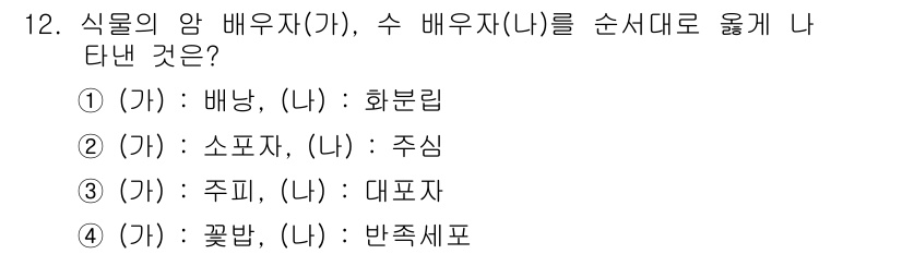 종자기사 2019년 12번 - 식물의 암배 유자(가)는 화분립(나)에서 수분을 받아 발전하게 되며, 이... 에 관한 핵심 기출문제