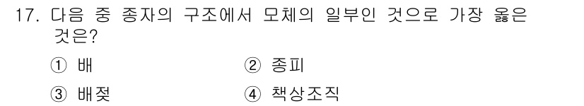 종자기사 2019년 17번 - . 종피  
종자의 구조에서 종피는 외부를 보호하는 역할을 하는 부분으로... 에 관한 핵심 기출문제