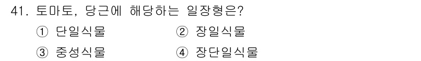 종자기사 2019년 41번 - 토마토는 주로 씨가 한 곳에 여러 개 있는 특징을 가진 과일로, 이로 인... 에 관한 핵심 기출문제