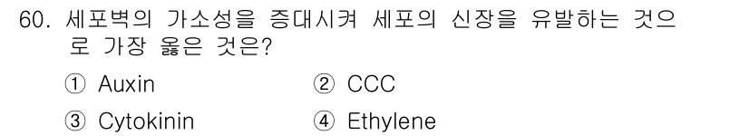 종자기사 2019년 60번 - 정답은 5. Ethylene입니다. 에틸렌은 식물의 세포 성장 및 분화를... 에 관한 핵심 기출문제