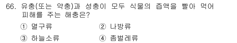 종자기사 2019년 66번 - . 니방류

니방류는 모든 식물의 접맥을 빨아먹음으로써 식물의 생장과 발... 에 관한 핵심 기출문제