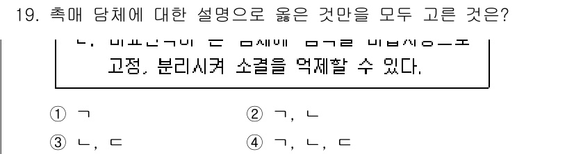 9급_국가직_공무원_공업화학 2017년 19번 - 번. 

정답인 이유는, 축매가 반응을 촉진하는 역할을 하며 반응 과정에... 에 관한 핵심 기출문제