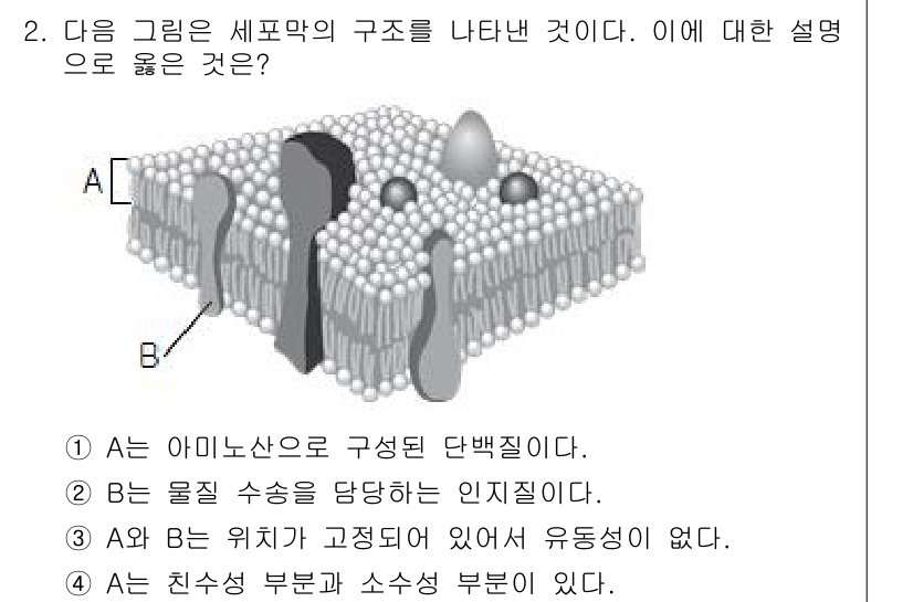 9급_국가직_공무원_과학 2015년 2번 - 세포막의 구조는 인지질 이중층으로 이루어져 있으며, A는 인지질의 친수성... 에 관한 핵심 기출문제
