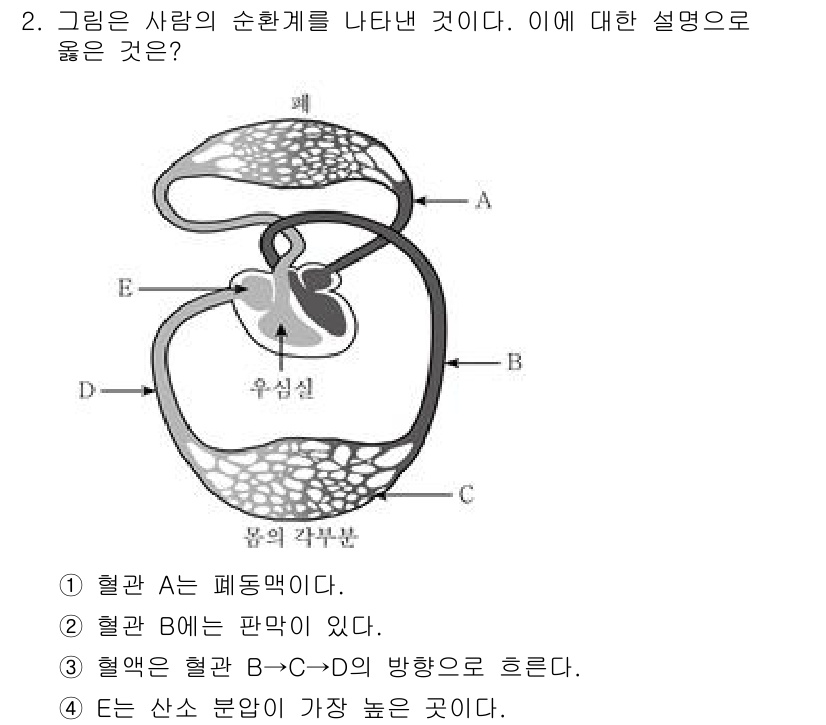 9급_국가직_공무원_과학 2017년 2번 - 정답은 1번이다. 그림에서 혈관 A는 폐모세혈관이므로 산소가 풍부한 혈액... 에 관한 핵심 기출문제
