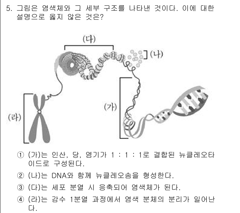 9급_국가직_공무원_과학 2017년 5번 - (가)는 인식과 담당의 연결을 설명하지만, 뉴클레오타이드의 결합 방식 및... 에 관한 핵심 기출문제
