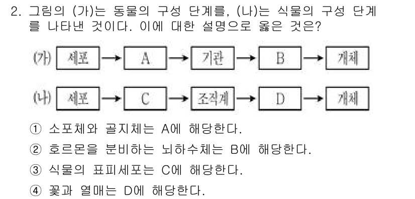 9급_국가직_공무원_과학 2019년 2번 - (가)는 동물의 구성 단계를 나타내며, (나)는 식물의 구성 단계를 나타... 에 관한 핵심 기출문제