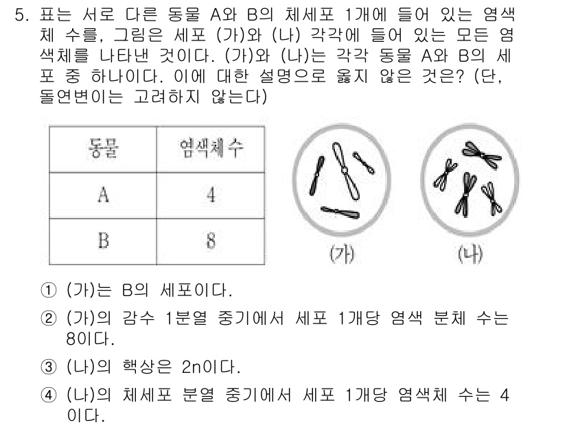 9급_국가직_공무원_과학 2019년 5번 - (가)와 (나)의 각 동물 A와 B의 세포를 비교할 때, (나)는 B의 ... 에 관한 핵심 기출문제