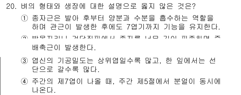 9급_국가직_공무원_식용작물 2015년 20번 - 주간의 제철이 나올 때, 주간 제5조에서 분열이 동시에 나타난다는 설명은... 에 관한 핵심 기출문제