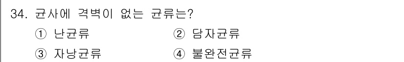 산림산업기사(구60문항) 2019년 34번 - 정답은 3번, 자낭균류입니다. 자낭균류는 곰팡이의 한 분류로, 주로 자생... 에 관한 핵심 기출문제