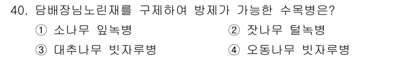산림산업기사(구60문항) 2019년 40번 - 정답 5는 담배나무의 잎 방제가 가능한 수목병으로, 담배나무의 생리적 및... 에 관한 핵심 기출문제