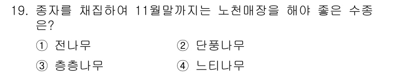 산림산업기사 2019년 19번 - 단풍나무는 11월까지 잎이 남아 있어 노동 매장을 위해 적합한 수종입니다... 에 관한 핵심 기출문제