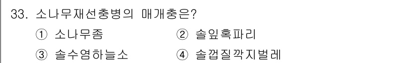 산림산업기사 2019년 33번 - 소나무재선충병은 소나무의 줄기와 뿌리에 영향을 미치는 병해로, 주로 소나... 에 관한 핵심 기출문제