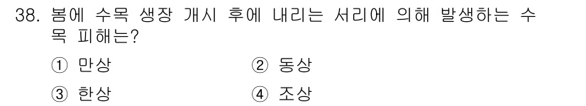 산림산업기사 2019년 38번 - . 한상  
봄에 수목의 생장이 시작되면 수분과 영양소의 흡수가 활발해져... 에 관한 핵심 기출문제