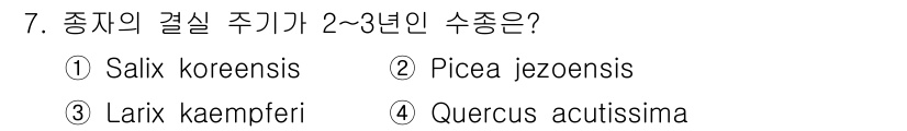 산림산업기사 2019년 7번 - Larix kaempferi는 일반적으로 2-3년 안에 결실을 맺는 것으... 에 관한 핵심 기출문제