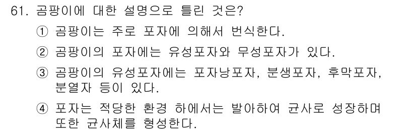 식품안전기사 2019년 61번 - 공팡이는 주로 배양된 미생물의 대사 작용에 의해 발생하며, 이는 식품 안... 에 관한 핵심 기출문제