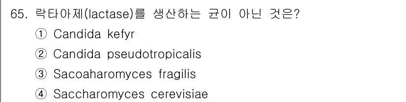 식품안전기사 2019년 65번 - 정답은 5번, Saccharomyces cerevisiae입니다. Sac... 에 관한 핵심 기출문제