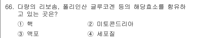 식품안전기사 2019년 66번 - 정답은 5. 세포질입니다. 세포질은 세포 내에서 다양한 물질과 효소들이 ... 에 관한 핵심 기출문제