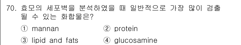 식품안전기사 2019년 70번 - 호모의 세포벽을 분석할 때 일반적으로 mannan이 가장 많이 검출됩니다... 에 관한 핵심 기출문제