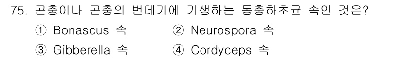 식품안전기사 2019년 75번 - 정답은 1번 Bonascus 속이다. Bonascus 속은 곰팡이의 일종... 에 관한 핵심 기출문제