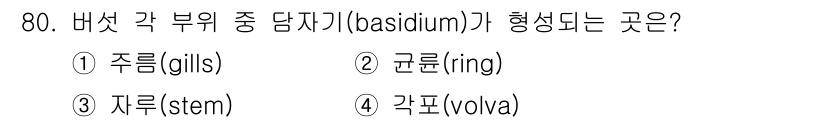 식품안전기사 2019년 80번 - 정답은 5번 '각포(volva)'입니다. 각포는 곰팡이의 일종인 버섯의 ... 에 관한 핵심 기출문제