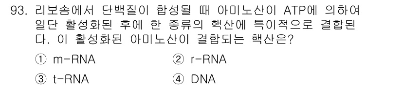 식품안전기사 2019년 93번 - 정답은 3번 t-RNA이다. 리보솜에서 단백질 합성이 진행될 때, t-R... 에 관한 핵심 기출문제