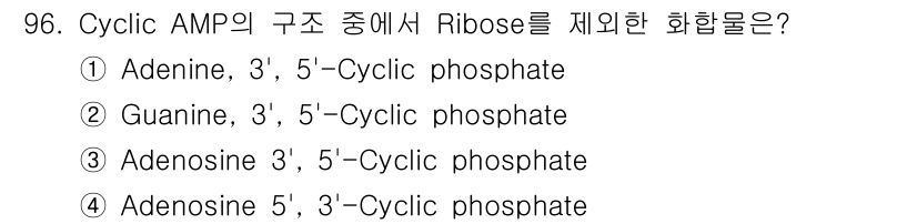식품안전기사 2019년 96번 - 해당 자격증의 핵심 개념을 묻는 객관식 문제