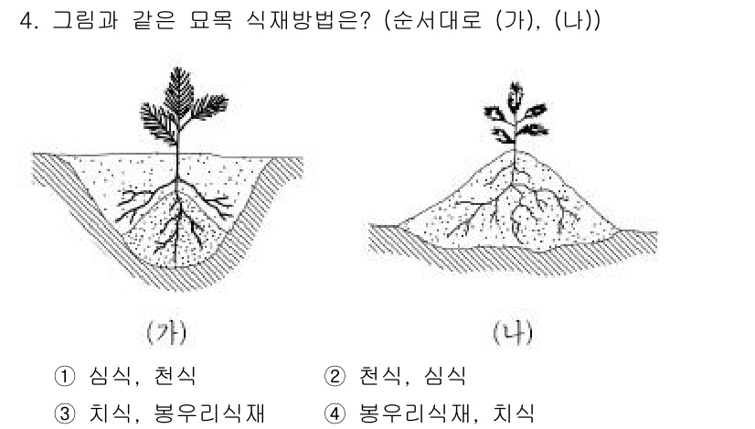 9급_국가직_공무원_조림 2017년 4번 - 해설: 그림 (가)는 뿌리가 아래로 뻗어있는 형태로, 심식과 천식이 결합... 에 관한 핵심 기출문제