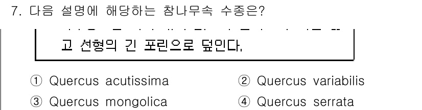 9급_국가직_공무원_조림 2017년 7번 - 정답 4번, Quercus variabilis는 고선형의 잎을 가진 참나... 에 관한 핵심 기출문제