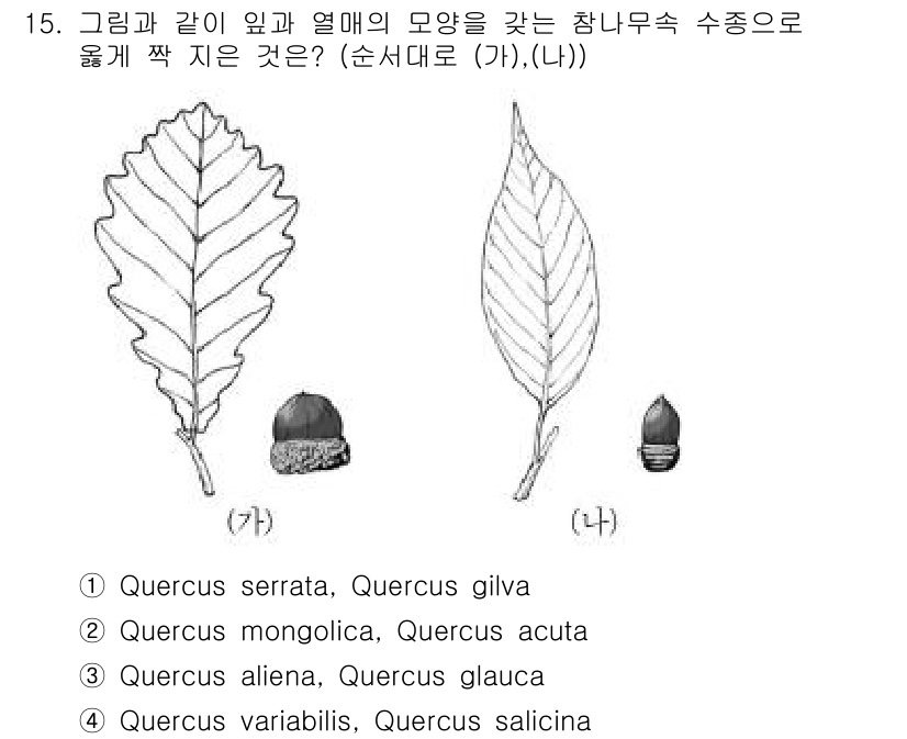 9급_국가직_공무원_조림 2019년 15번 - 정답은 4번, Quercus variabilis와 Quercus sali... 에 관한 핵심 기출문제