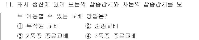 축산기사 2019년 11번 - 돼지 생산에 있어 사료의 영양소를 효과적으로 제공하기 위해서는 두 가지 ... 에 관한 핵심 기출문제