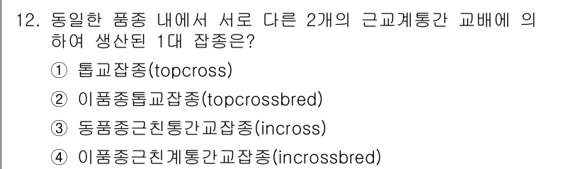 축산기사 2019년 12번 - . 이품종근친계통간교잡

이 품종 간 교배는 서로 다른 유전적 배경을 활... 에 관한 핵심 기출문제