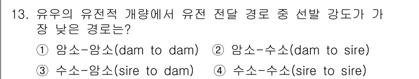 축산기사 2019년 13번 - 유전적 개량에서 유전 전달 경로는 개체의 성별에 따라 달라집니다. 암소-... 에 관한 핵심 기출문제