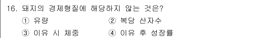 축산기사 2019년 16번 - 정답은 3번 "이유 시 체중"입니다. 돼지의 경제형질은 생산성이나 번식력... 에 관한 핵심 기출문제