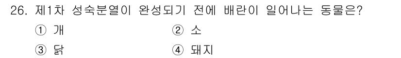 축산기사 2019년 26번 - 정답은 5번 돼지입니다. 돼지는 제1차 성숙분열이 완성되기 전에 가장 빠... 에 관한 핵심 기출문제