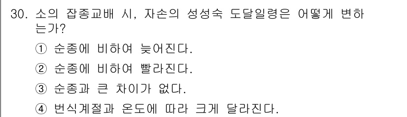 축산기사 2019년 30번 - 정답 2번인 이유는, 소의 잡종교배 시 성적 도달 일령이 순종에 비해 빨... 에 관한 핵심 기출문제