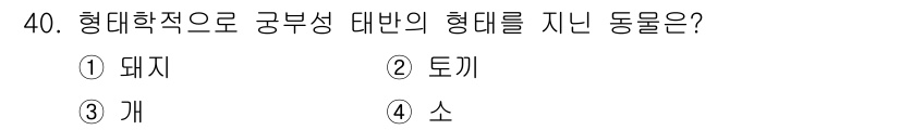축산기사 2019년 40번 - 정답이 3번인 이유는 소가 구조적으로 다른 동물들에 비해 종류가 다양하고... 에 관한 핵심 기출문제