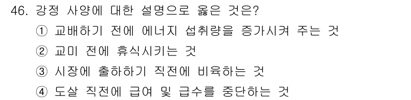 축산기사 2019년 46번 - . 강정 사양에 대한 설명으로 옳은 것은 강정 사양은 에너지를 집중적으로... 에 관한 핵심 기출문제