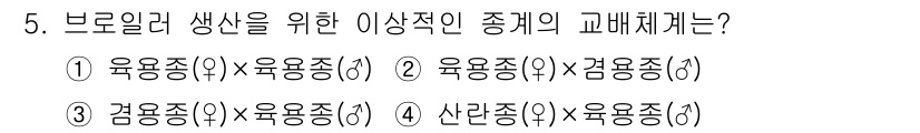 축산기사 2019년 5번 - 브로일러 생산을 위한 이상적인 종계는 빠른 성장과 높은 사육 효율을 가진... 에 관한 핵심 기출문제
