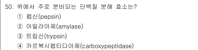 축산기사 2019년 50번 - 단백질 분해 효소는 주로 위에서 활동하며, 위액의 산성 환경에서 효과적으... 에 관한 핵심 기출문제