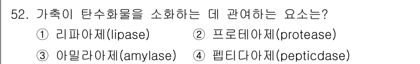 축산기사 2019년 52번 - 가축이 탄수화물을 소화하는 데 주로 관여하는 효소는 아밀라제입니다. 아밀... 에 관한 핵심 기출문제
