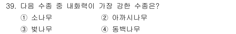 화재감식평가기사 2019년 39번 - . 동백나무  
동백나무는 내화력이 가장 강한 수종으로, 높은 온도에서도... 에 관한 핵심 기출문제