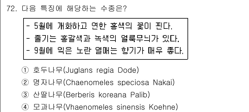 조경기사 2019년 72번 - 모과나무는 9월에 노란 열매를 맺으며, 해당 열매는 향기가 좋고 식용 가... 에 관한 핵심 기출문제