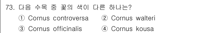 조경기사 2019년 73번 - 정답은 3번 Cornus officinalis입니다. 다른 선택지들은 주... 에 관한 핵심 기출문제