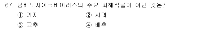 손해평가사 2019년 67번 - 정답은 4번 배추입니다. 당배모자이클라바이러스는 주로 가지, 사과, 고추... 에 관한 핵심 기출문제