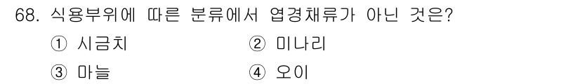 손해평가사 2019년 68번 - . 오이  
오이는 식물 분류상 '과채류'에 해당하며, 엽경체류로 분류되... 에 관한 핵심 기출문제