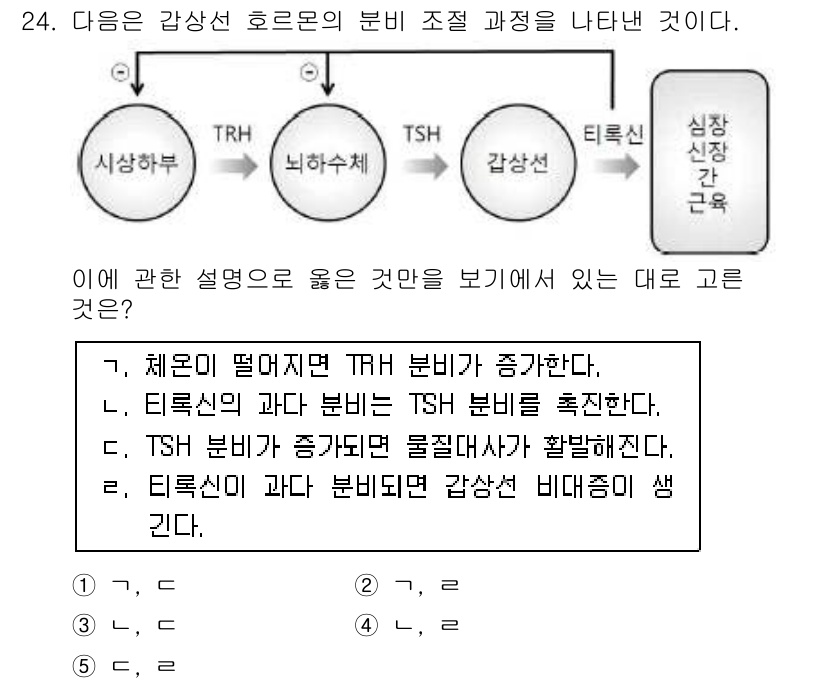 변리사_1차(3교시) 2015년 24번 - 정답인 이유: 체온이 떨어지면 TRH(갑상선 방출 호르몬) 분비가 증가하... 에 관한 핵심 기출문제