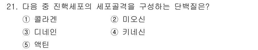 변리사_1차(3교시) 2016년 21번 - 정답은 5. 액틴입니다. 액틴은 진핵세포의 세포골격을 구성하는 주요 단백... 에 관한 핵심 기출문제