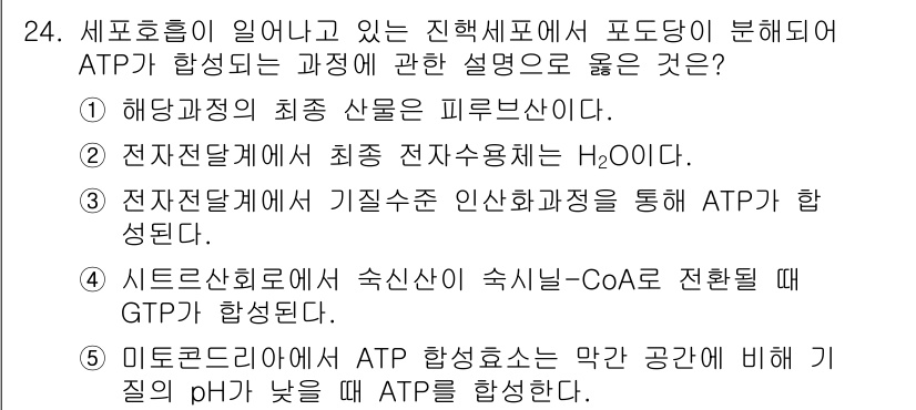 변리사_1차(3교시) 2016년 24번 - 정답은 1번, "해당 과정의 최종 산물은 피루브산이다."입니다. 해당 질... 에 관한 핵심 기출문제