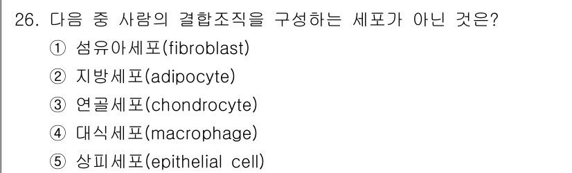 변리사_1차(3교시) 2016년 26번 - 상피세포(epithelial cell)는 결합조직을 구성하는 세포가 아닌... 에 관한 핵심 기출문제