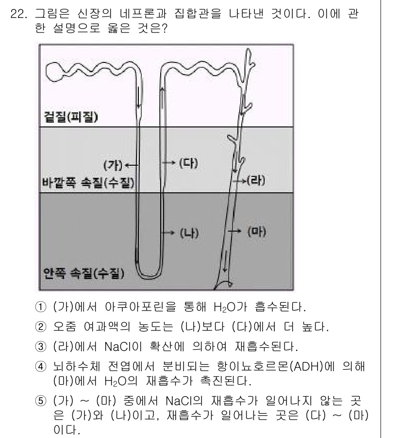 변리사_1차(3교시) 2017년 23번 - 정답 4번은 NaCl이 재섭취되지 않은 곳은 H₂O의 재흡수에 영향을 미... 에 관한 핵심 기출문제